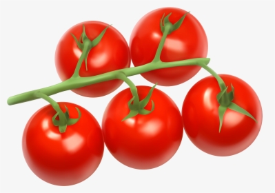 Tomatoes Branch Png Clipart - Tomatoes Png, Transparent Png, Free Download