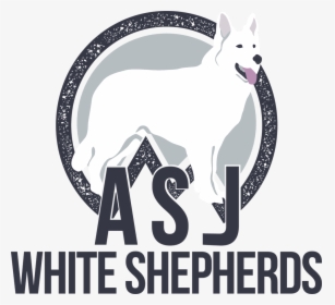 Asj White Shepherds In Middletown Ct - Guard Dog, HD Png Download, Free Download