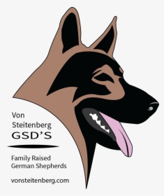 German Shepherd Puppies, German Shepherds, Atticus, - Brasao Pastor Alemão, HD Png Download, Free Download