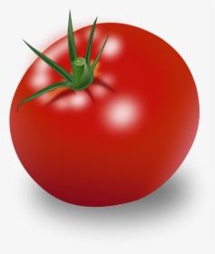 Tomato Vector Free Png - Tomato Clipart, Transparent Png, Free Download