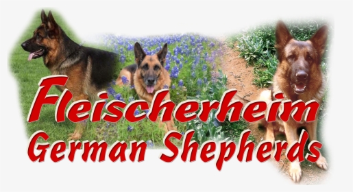 Logo - Old German Shepherd Dog, HD Png Download, Free Download