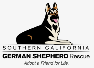 Southern California German Shepherd Rescue - German Shepherd, HD Png Download, Free Download