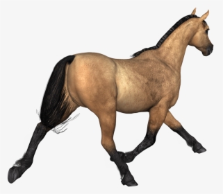 Horses Brown Horse Rear View - Horse Brown Png, Transparent Png, Free Download