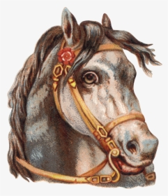 Horse, HD Png Download, Free Download