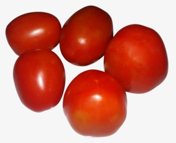 Tomato Clipart Ripe - Plum Tomato, HD Png Download, Free Download