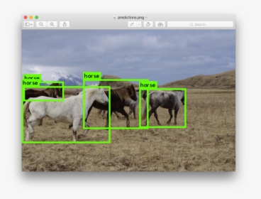 Animal Detection Using Yolo, HD Png Download, Free Download