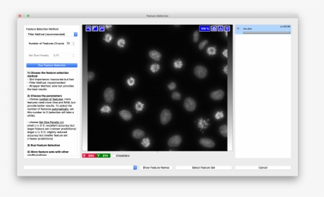 Screenshot, HD Png Download, Free Download