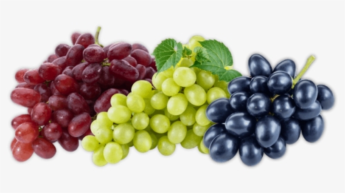 Grapes Fruit, HD Png Download, Free Download