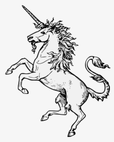 Unicorn On A Coat Of Arms, HD Png Download, Free Download