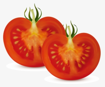 Bush Clipart Vegetable Plant - Tomato Cut In Half, HD Png Download, Free Download