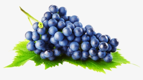 Grapes Png - Grapes Transparent Background, Png Download, Free Download