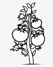 Plant Black And White, HD Png Download, Free Download