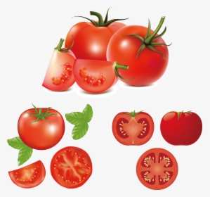 Hamburger Caprese Salad Clip Art Fresh Tomatoes - Tomato Vector, HD Png Download, Free Download
