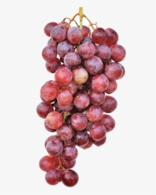 Grape, HD Png Download, Free Download