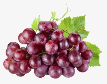 Benefits Of Red Grapes, HD Png Download, Free Download