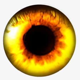 #eye #fire - Macro Photography, HD Png Download, Free Download