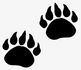 Bear Paw Print Png - Transparent Bear Claw Png, Png Download, Free Download