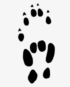 Paw Computer Mouse Cat Clip Art - Mouse Paw Prints, HD Png Download, Free Download
