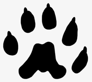 Cat Paw Prints - Weasel Paw Print, HD Png Download, Free Download