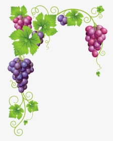 Transparent Vine Decor Png - Grape Vine Border Clip Art, Png Download, Free Download