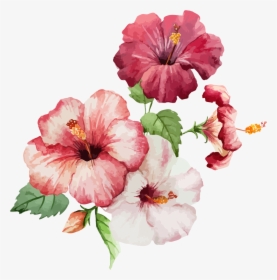 Flowers Illustration, HD Png Download, Free Download