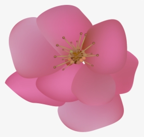 Blossom, HD Png Download, Free Download