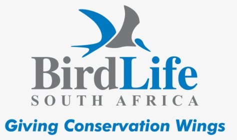 Birdlife South Africa - Birdlife South Africa Logo, HD Png Download, Free Download