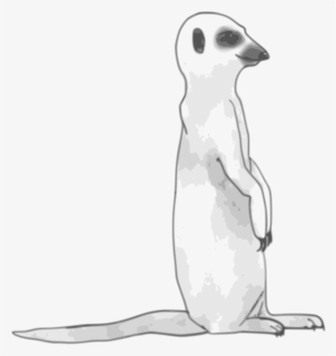 Transparent Mongoose Png - Meerkat Black And White, Png Download, Free Download