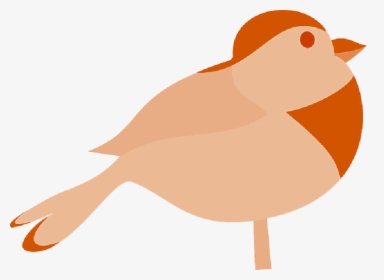Robin Bird Silhouette - Bird Clip Art, HD Png Download, Free Download