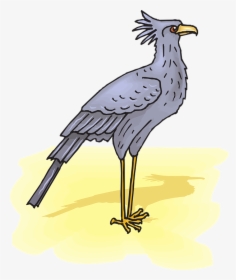 Secretary, Bird, Sand, Shadow, Wings, Feathers - Secretary Bird Transparent, HD Png Download, Free Download