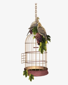 Parrot Cage Png Gif, Transparent Png, Free Download