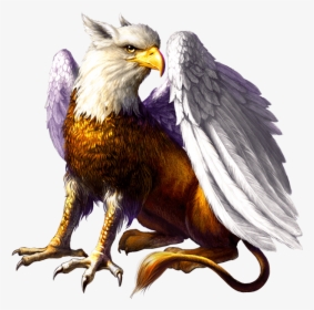 Transparent Gryphon Png - Gryphons Gold Deluxe, Png Download, Free Download