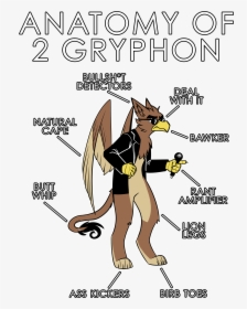 Anatomy Of A Gryphon, HD Png Download, Free Download