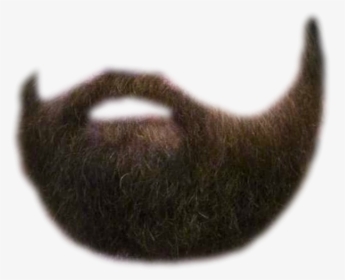 Beard Hair PNG Images, Free Transparent Beard Hair Download - KindPNG