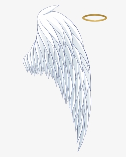 #asa #png #coroa #angels - Angel Wings And Halo Png, Transparent Png, Free Download