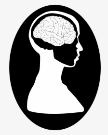 Transparent Brains Png - Brain And Head Drawing, Png Download, Free Download