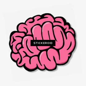Brain Drawing Cartoon Png Clipart , Png Download - Cartoon Brain Transparent Background, Png Download, Free Download