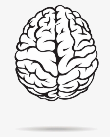 Brain Black And White Free Best Transparent Png - Black And White Brain, Png Download, Free Download