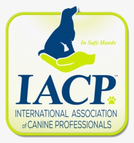 Iacp Logo Member Icon Rgb - Label, HD Png Download, Free Download