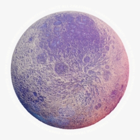 Kin Euphorics - Circle, HD Png Download, Free Download