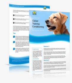 Labrador Retriever, HD Png Download, Free Download