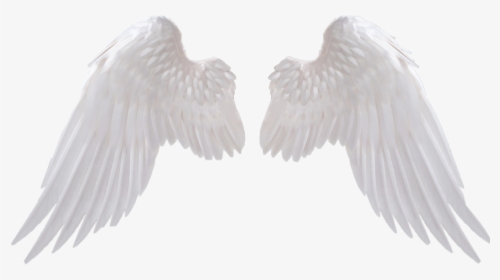 #icon #white #angel #angels #angelbaby #w #h #i #t - Transparent Angel Wings Png, Png Download, Free Download