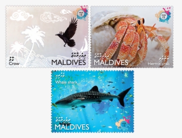 Issue Of Maldives Postage Stamps - Maldives Stamps, HD Png Download, Free Download