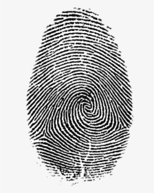 Transparent Fingerprints Clipart - Transparent Background Fingerprint Png, Png Download, Free Download