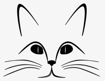 Cat Face Outline - Sense Organs Of Animals, HD Png Download, Free Download