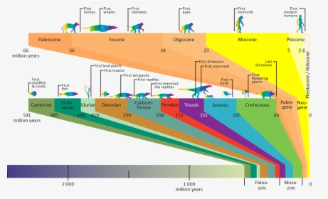 The Geological Timeline - Simplified Geological Time Scale, HD Png Download, Free Download