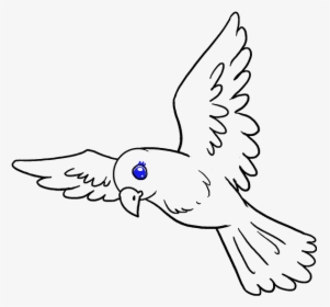 Transparent Bird Drawing Png Draw A Small Bird Png Download Kindpng