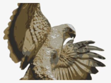 Transparent Peregrine Falcon Png - Ястреб На Охоте, Png Download, Free Download