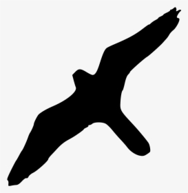 Peregrine Falcon Bird Of Prey Silhouette - Albatross Bird Clipart Transparent Background, HD Png Download, Free Download