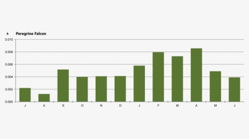 Peregrine Falcon Population 2019, HD Png Download, Free Download